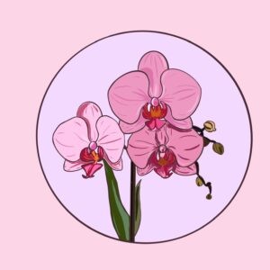Orchid Sticker